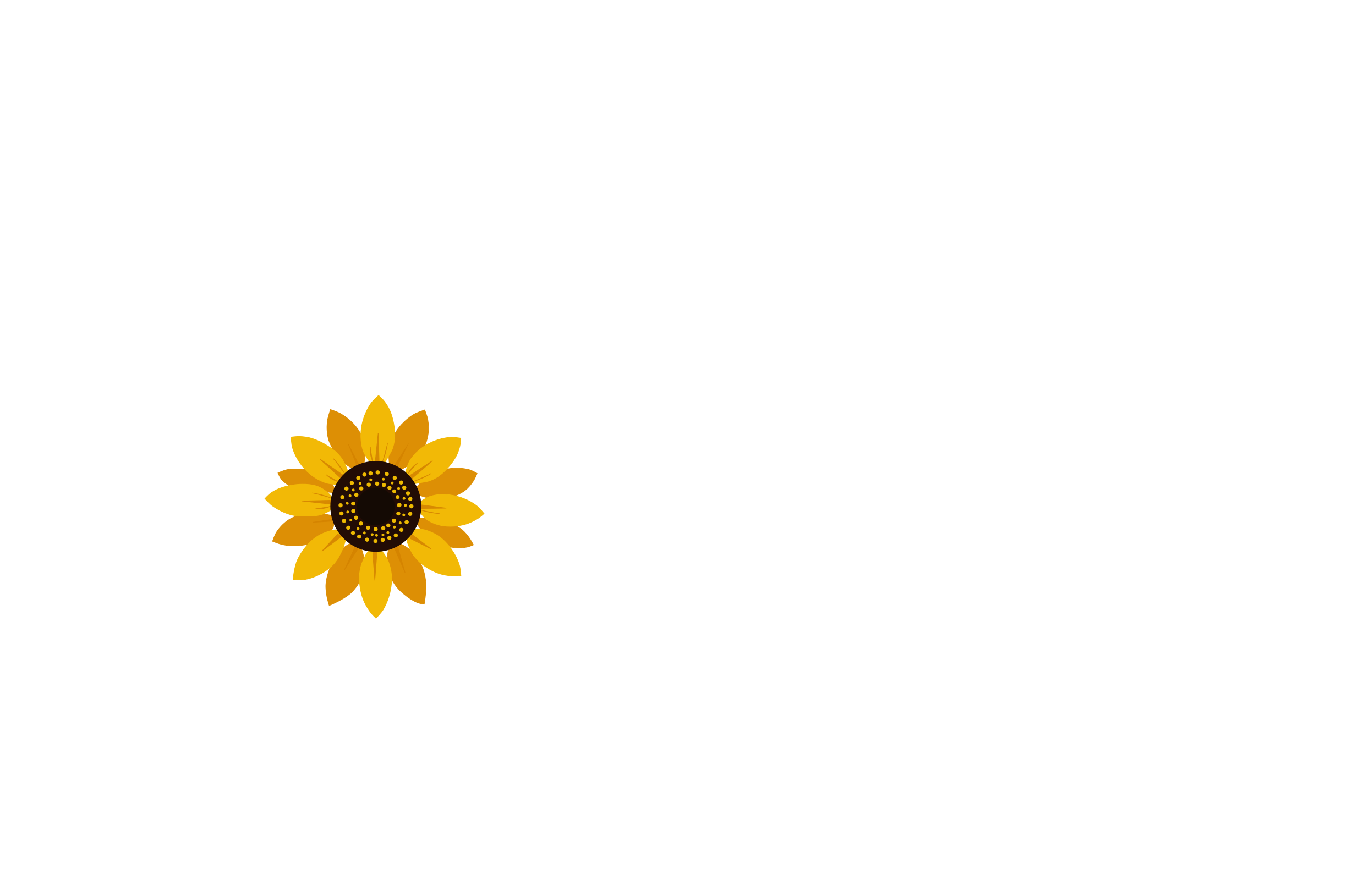 Son&Flower Cleaning Services